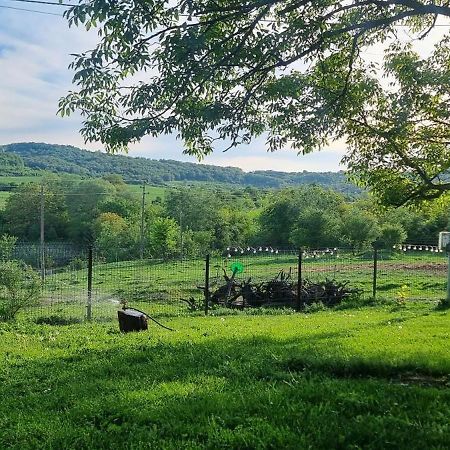 Вила "Намасте" С Панорамна Гледка И Камина На Дърва Loveč Exteriér fotografie